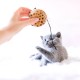 Cat Toys